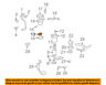 7717552020 Toyota Oem Celica Fuel