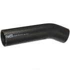 Focz9324aa Fnh055 Spectra Premium Industries Inc Fuel Filler Hose Fits 671607117943