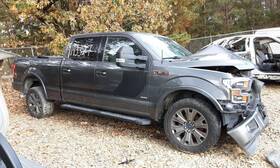 177.fd8117 Ford Truck F150 2017 Fuel Filler Door 470777