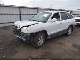179.hy1404 Hyundai Santa Fe 2004 Fuel Filler Neck 1406054