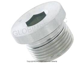 1615652100 Jp Group Dansk For Porsche 1965-1973 Fuel Tank Fitting Plug 22 X 1.5 Mm