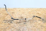 14-19 Bmw F15 F16 F85 F86 X5 X6 Adaptive Drive Expansion Hose Return Line Oem. Fixed Price $99.99.