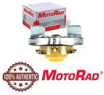 Fuel Gas Tank Cap Stant/motorad 10646 Replace Oem # 3931449 Vented Anti Surge. Fixed Price $29.63.