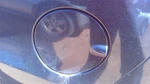 Fuel Filler Door Hatchback Fits 11-15 Ford Fiesta Oem. Fixed Price $63.99.