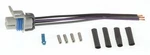 Airtex Fuel Pump Wiring Harness WH3003 For Chevrolet Gmc Isuzu S10 Sonoma Hombre. Fixed Price $7.47.