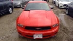 (local Pickup Only) Fuel Tank Fits 11-14 Mustang 4537387. Fixed Price $144.90.