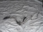 02-05 Lexus SC430 Z40 4.3L V8 Fuel Filler Tube Neck Cap Lines 2002 2003 2004. Fixed Price $80.10.