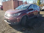Used Fuel Tank Fits: 2019 Honda Cr-v Market Grade. Fixed Price $164.99.