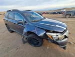 Legacy 2016 Fuel Filler Door 1551414. Fixed Price $99.95.