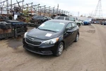 Forte 2014 Fuel Filler Door 409038. Fixed Price $75.00.