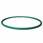 Fuel Pump Tank Seal Motorcraft CG807. Fixed Price $50.50.