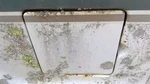 Fuel Filler Door Fits 94-97 Dodge Van 2500 Oem. Fixed Price $64.79.
