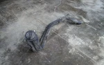 1995-1997 Ford Contour Fuel Tank Filler Neck. Fixed Price $75.00.