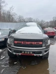 2009 Ford F-150 Fuel Door Gas Cap Oem. Fixed Price $55.00.
