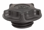 Genuine Brand New Fuel Filler Door Housing Suits Kia Carnival 2022-2026. Fixed Price $135.38.