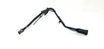 2019 Ford Escape Titanium Oem Fuel Gas Filler Neck Pipe. Fixed Price $125.00.
