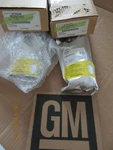 Genuine Gm Remanufactured Injector 97780474,97780474 Oem. Fixed Price $801.77.