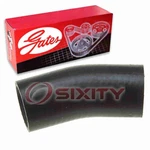 Gates Lower Pipe Thermostat Radiator Coolant Hose For 2000-2004 Nissan Bf. Fixed Price $22.89.