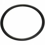 Locking Ring Spectra Premium Industries LO22. Fixed Price $9.28.