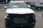 2020 Kia Telluride Fuel Door Cover Cap Hinge Pocket Assembly Paint: Swp White. Fixed Price $79.50.