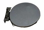 2000 Odyssey Fuel Door Authentic Oem. Fixed Price $30.00.
