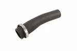 Genuine Gm Fuel Tank Filler Hose 15839218. Fixed Price $263.19.