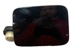 10 11 12 Nissan Pathfinder Fuel Tank Door Black EXTKH3 Oem: G8830ZL9MA. Fixed Price $58.42.