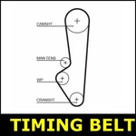 Timing Belt Cam Fits Porsche 924 944 OPT2/2 2.5 2.7 7905. Fixed Price $45.40.