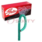 Gates Powerated Generator Accessory Drive Belt For 1961-1962 Renault Gordini Mk. Fixed Price $20.03.