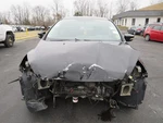 2015 Ford Focus Fuel Tank Door Tuxedo Blackuh Oem BM5Z54405A26A. Fixed Price $69.00.