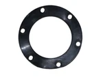 Airtex Fuel Pump Tank Seal TS8019 For Hyundai Sonata 1995-1999. Fixed Price $9.14.