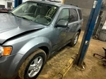 Escape 2008 Fuel Filler Door 10165461. Fixed Price $42.90.