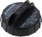 Genuine Nissan Cap 17251-4B001. Fixed Price $13.57.