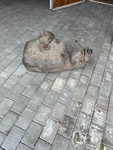 1980 Porsche Fuel Gas Tank Unit 92820100303. Fixed Price $299.00.