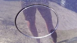 Buick Lacrosse 2010 Fuel Filler Door 450027. Fixed Price $59.00.
