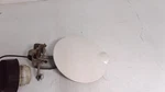 4814825AD 2003 Chrysler Sebring Fuel Filler Door. Fixed Price $42.98.