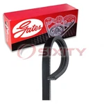 Gates Stretch Fit Micro-v Ac Serpentine Belt For 2016 Kia Sorento 2.0L 2.4L Po. Fixed Price $44.02.