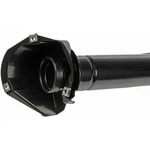 Dorman 577-814 Fuel Tank Filler Neck. Fixed Price $136.87.