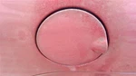 Chrysler Sebring Cnvertible 2004 Fuel Filler Door 457966. Fixed Price $44.00.