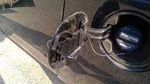 Sedona 2012 Fuel Filler Door 380467. Fixed Price $94.90.