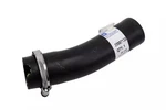 Acdelco Fuel Tank Filler Hose 25887138. Fixed Price $107.22.
