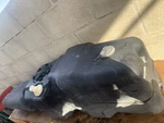 2004-2011 Ford Ranger 4.0L V6 Gas Fuel Tank Assembly Oem 19.5 Gallon. Fixed Price $424.58.