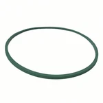 Genuine Motorcraft Fuel Pump Tank Seal CG-796. Fixed Price $12.51.