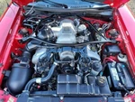 1996-1998 Ford Mustang Svt Cobra Radiator Hose Cooling System Kit New Year Sale. Fixed Price $432.49.
