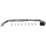 Fuel Vapor Leak Detection Pump Connector Standard S2818. Fixed Price $23.22.