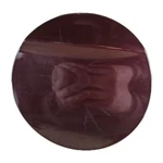 2010-2019 Ford Taurus Fuel Filler Door Gas Lid Paint "FQ"(AG13-54405A26-AC5BRY). Fixed Price $45.00.