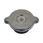 Radiator Cap Fits Man Febi Bilstein 04496 - Oe Matching Quality Precision. Fixed Price $12.43.
