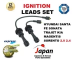 For Hyundai Santa Fe Sonata Trajet Kia Magentis Sorento 2.0 2.4 Ignition Leads. Fixed Price $60.43.