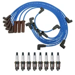 Ngk Ignition Kit For Buick. Fixed Price $91.95.