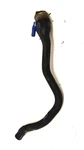 Bmw Oem E36 Obdii Fuel Tank Filler Hose Gas Pipe Tube Neck OBD2 1183107. Fixed Price $84.95.